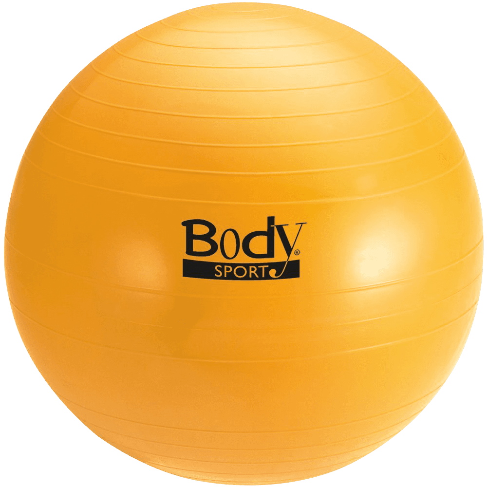 Body Sport Fitness Ball