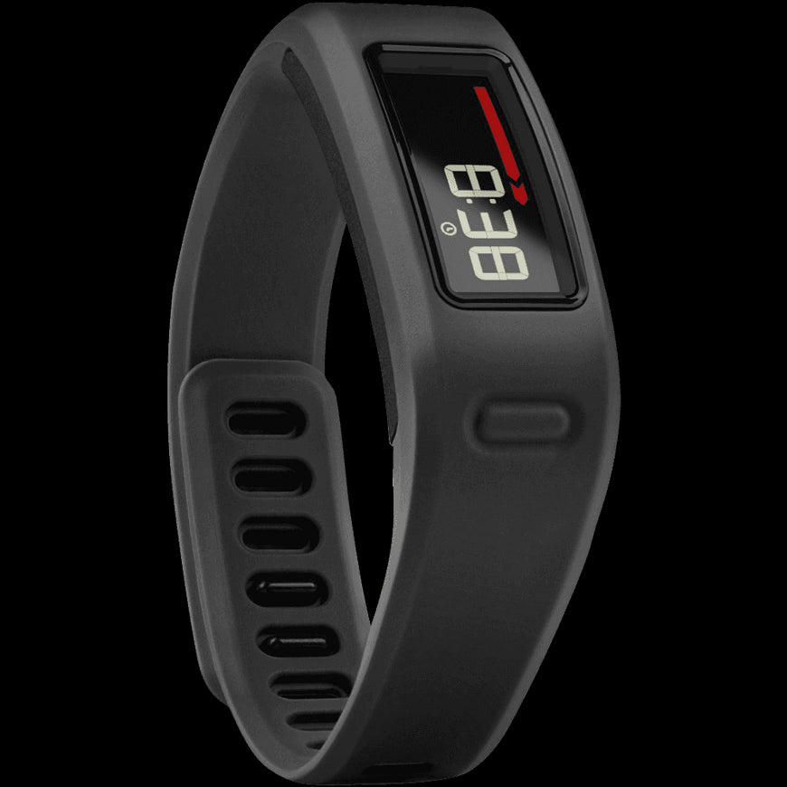 Garmin Vivofit Fitness Band