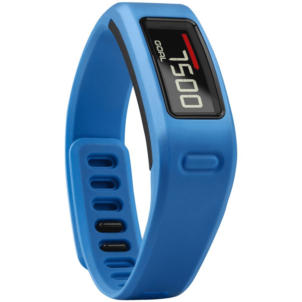 Garmin Vivofit Fitness Band