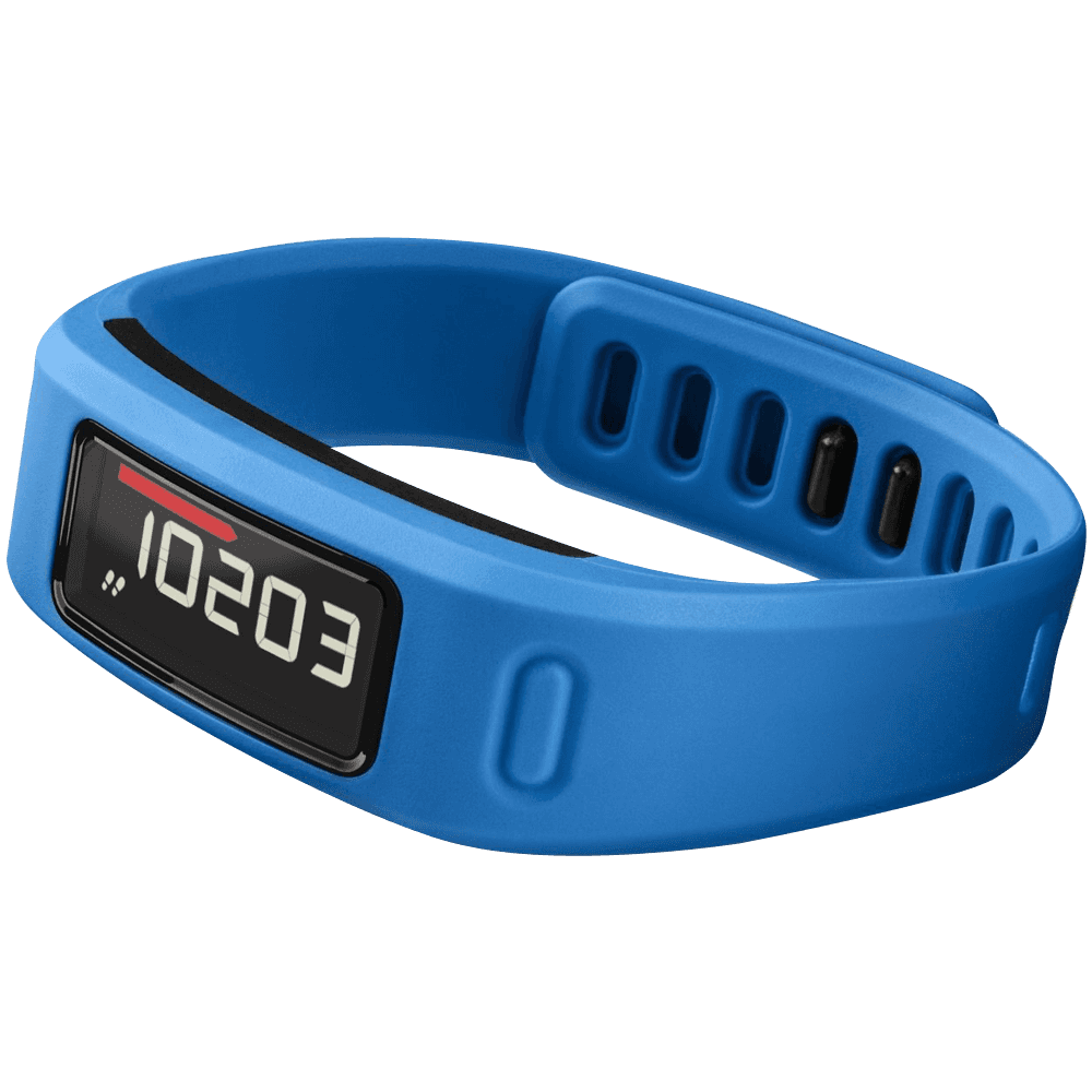 Garmin Vivofit Fitness Band