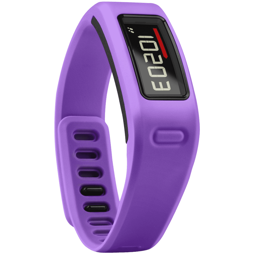Garmin Vivofit Fitness Band