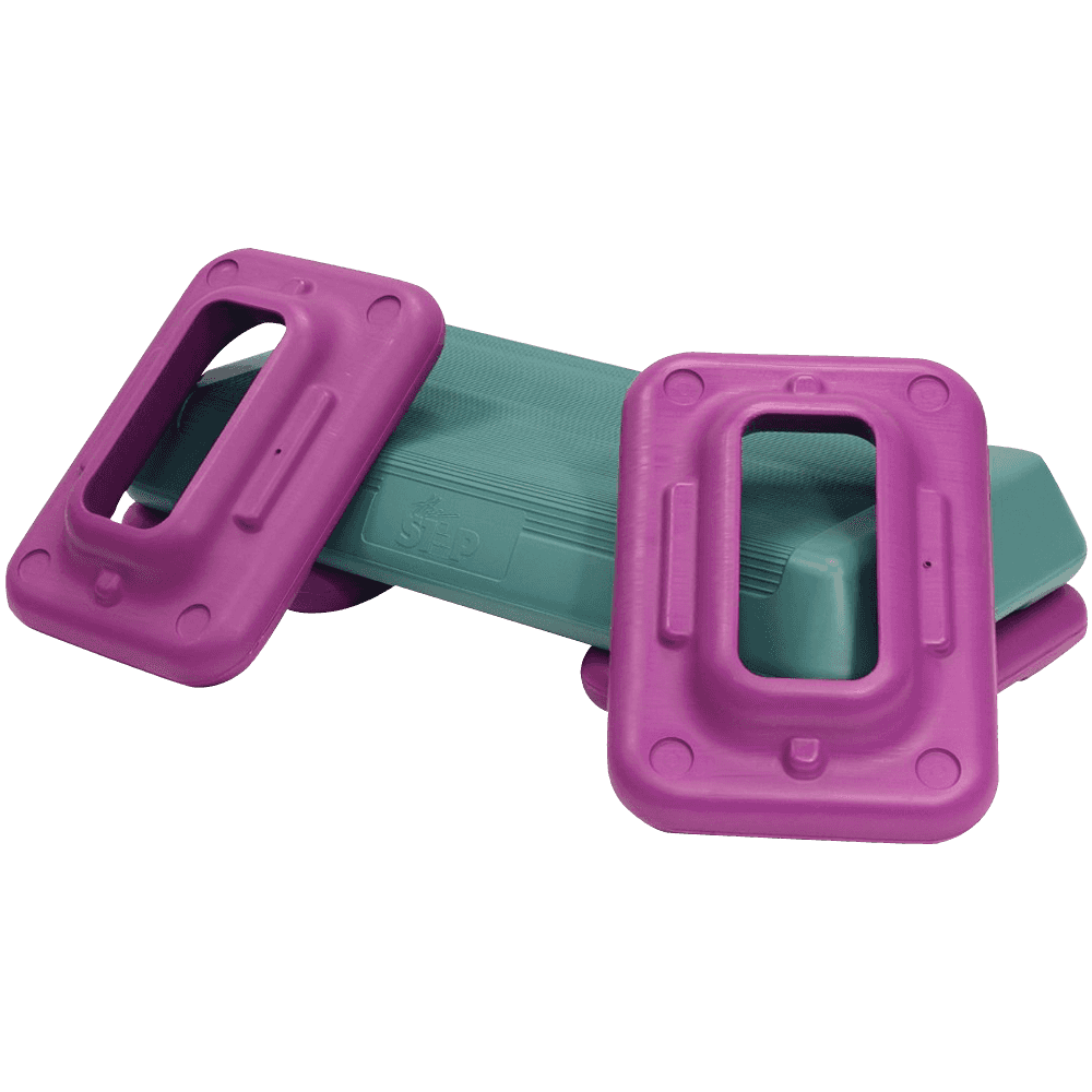 The Step F1004 Step Workout System