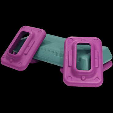 The Step F1004 Step Workout System